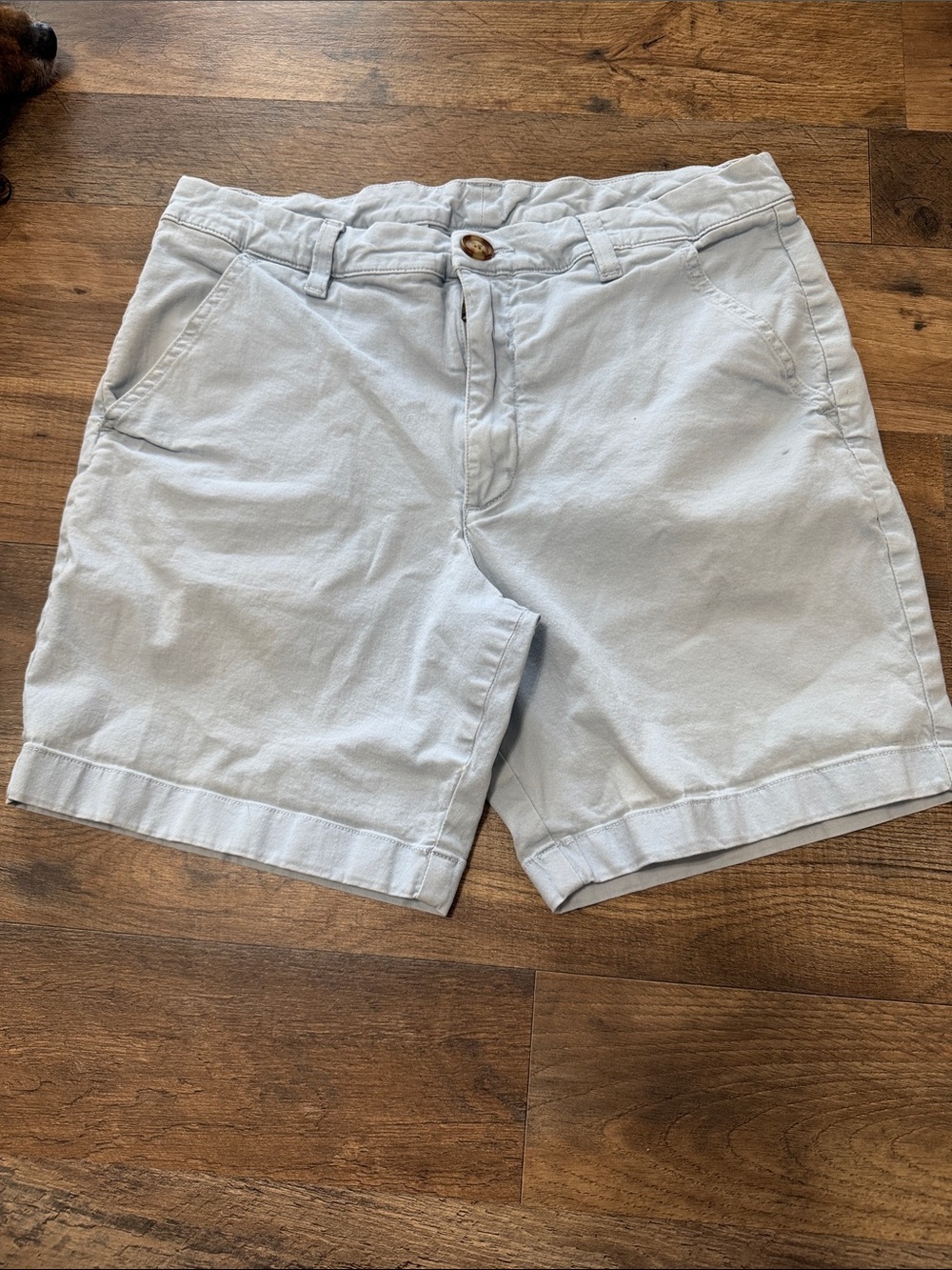 Chubbies powder puff blue shorts